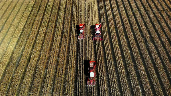 Αεροφωτογραφία Πάνω Τρεις Μεγάλες Κόκκινες Μηχανές Συγκομιδής Συνδυάζουν Συγκομιδή Χωράφι — Φωτογραφία Αρχείου