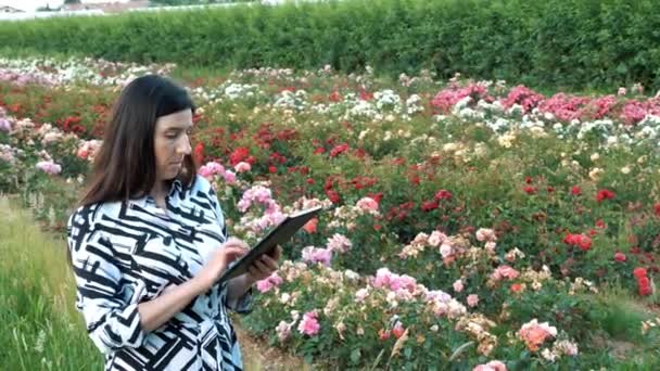 Υπάλληλος Αναλύει Την Κατάσταση Των Φυτών Γράφει Τάμπλετ Χωράφι Τριαντάφυλλα — Αρχείο Βίντεο