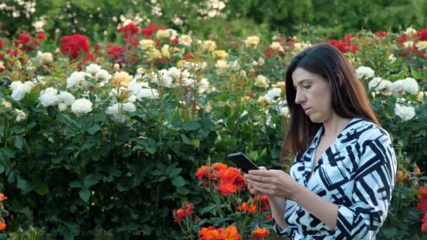 従業員は植物の状態を分析します 女の子はスマートフォンでメッセージを入力して手 バラの畑 バラの花 従業員 そうだ 高品質4K映像 — ストック動画