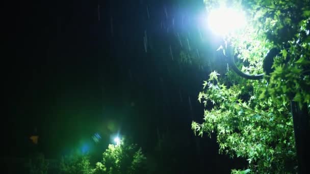 夜里的雨 夜晚的雨 降雨的特写 一拥而上的水淹没的道路 城市人行道上灯火通明 挤作一团 — 图库视频影像
