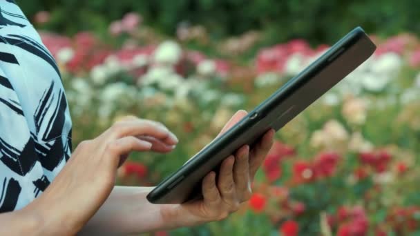 Peternak Bunga Taman Menulis Tablet Bunga Mawar Sinar Matahari Lembut — Stok Video