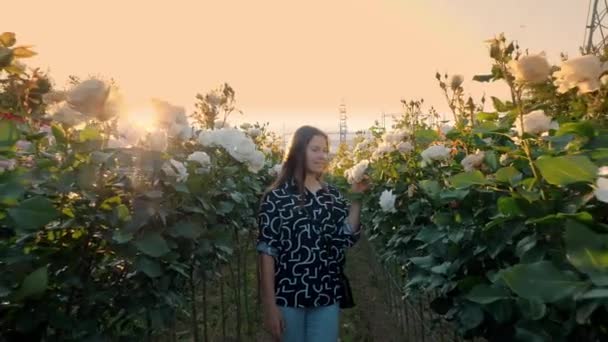 Meisje Dat Tussen Bloemen Loopt Tegen Achtergrond Van Energiecentrale Rozenveld — Stockvideo