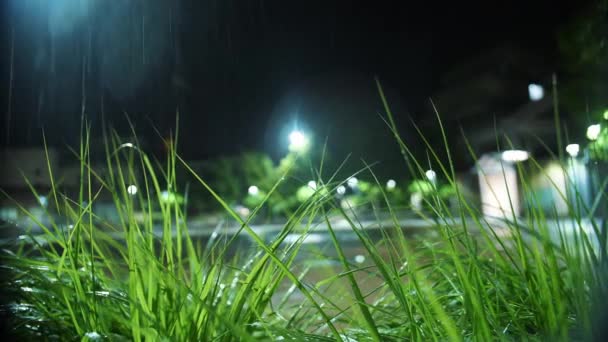 Pioggia Pioggia Nella Notte Piogge Leggere Primo Piano Delle Precipitazioni — Video Stock