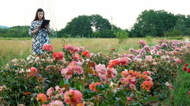 Éleveur Fleurs Jardin Écrit Tablette Sous Station Électrique Rose Fleurit — Video