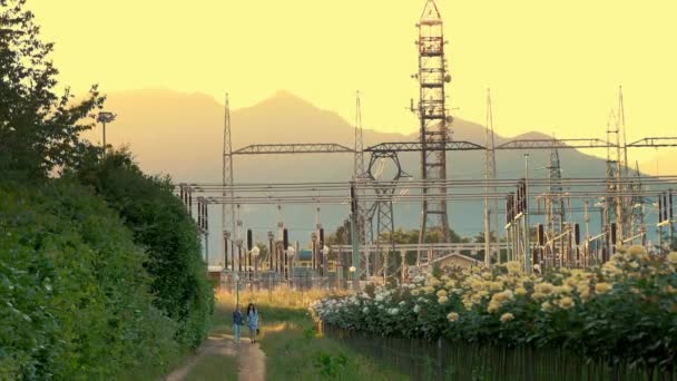 Tuinieren Onderstation Een Energiecentrale Bloemenveld Rozen Energiecentrale Achtergrond Van Bergen — Stockvideo