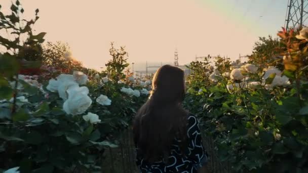 Meisje Dat Tussen Bloemen Loopt Tuinieren Onderstation Een Energiecentrale Bloemenveld — Stockvideo