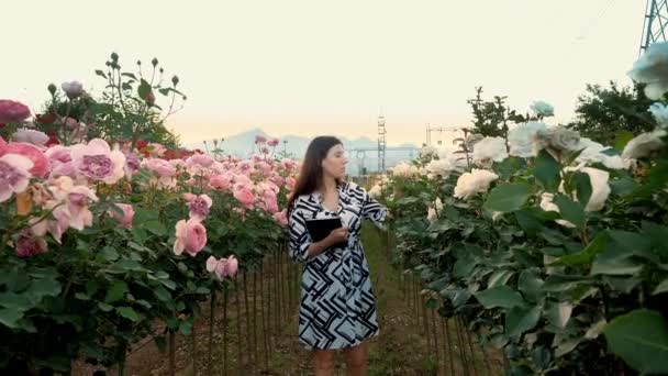 Hodowca Kwiatów Ogród Pisze Tabliczkę Podstacja Elektryczna Róża Kwitnie Miękkie — Wideo stockowe