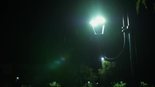 街路灯だ 雨が降る夜に雨 夜に雨が降る 光の雨 降雨量の閉鎖 プドルだ 水のプドル 水没した道路 街の歩道に光の反射と水たまり — ストック動画