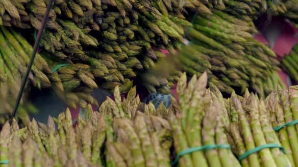 Espárragos Officinalis Espárragos Verdes Frescos Empaquetados Estante Supermercado Primer Plano — Vídeo de stock