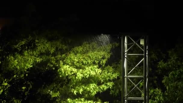 Φως Του Δρόμου Βροχή Βροχή Νύχτα Βροχή Βροχή Νύχτα Μικρή — Αρχείο Βίντεο