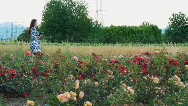 Empregado Tomar Notas Sobre Trabalho Flores Subestação Eléctrica Quinta Horticultura — Vídeo de Stock