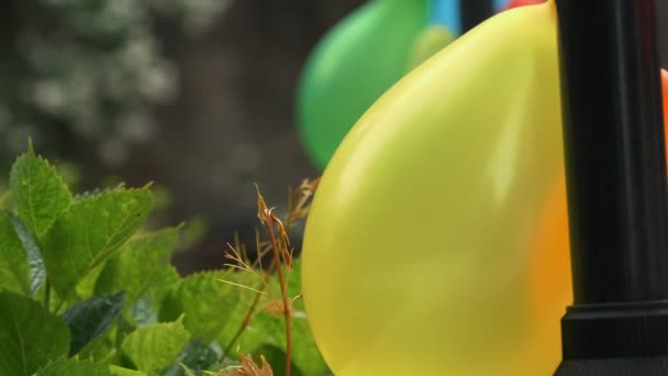 カラフルな風船 クローズアップ パーティーのためのカラフルな風船で家の庭を飾る — ストック動画