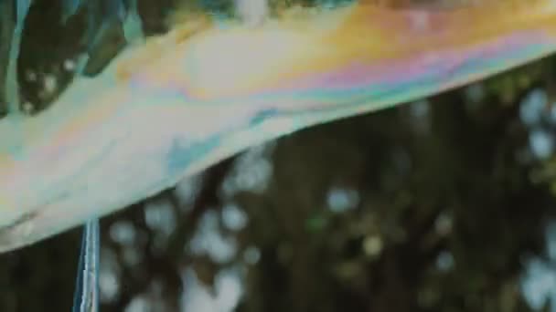 Big Soap Bubbles Close Large Rainbow Colored Shaped Soap Bubbles — Stock Video