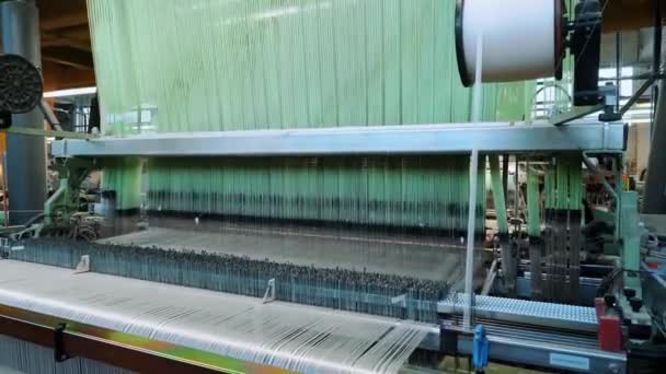 Tejiendo Telar Equipo Fábrica Textil Máquina Tejer Automatizada Está Fabricando — Vídeo de stock