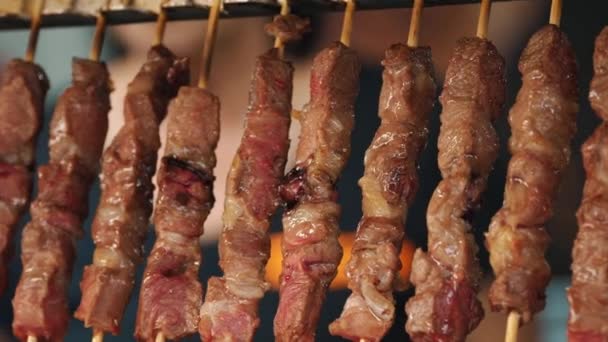 Roterend Gebakken Vlees Een Spies Shashlik Shish Kebab Close Koken — Stockvideo