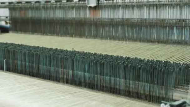 Dokuma Makinesi Yakın Plan Bir Tekstil Fabrikasında Endüstriyel Dokuma Tezgahı — Stok video