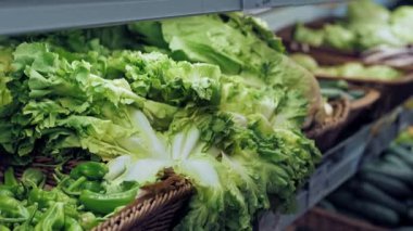 Süpermarketteki sebze reyonunda taze sebze ve otlar. Yakın plan. Vejetaryen ve vejetaryen yemekleri. Market. Süpermarket. Yiyecek pazarı. alışveriş.