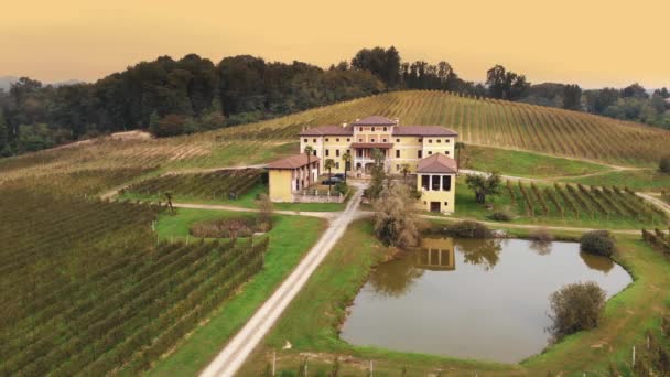 Villa Italiana Vinhas Vista Drone Bela Antiga Vila Italiana Propriedade — Vídeo de Stock