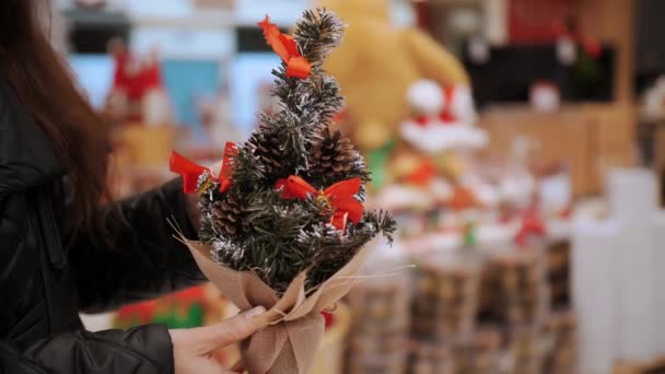 圣诞装饰品 装饰品 一个女人牵着一棵小小的人造圣诞树 在商店 商店等节庆用品的选择和购买 — 图库视频影像