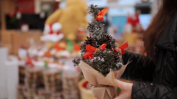 Decorações Natal Acessórios Compras Close Mulher Segurando Mãos Pequena Árvore — Vídeo de Stock