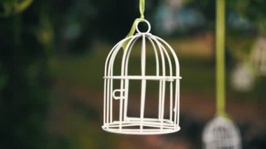 Düğün dekoru. Küçük dekoratif beyaz bir kuş kafesi bir ağaçta asılı duruyor. Yüksek kalite 4k görüntü