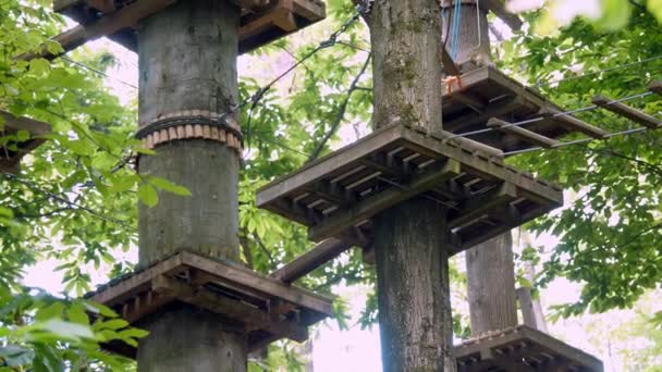 Parcours Obstacles Parc Corde Forêt Fait Avec Des Cordes Escalade — Video