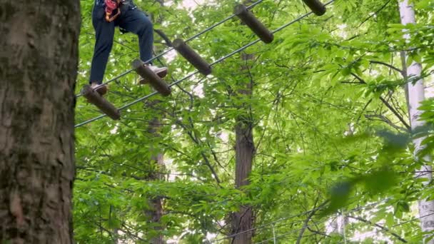 Campo Obstáculos Forest Rope Park Hecho Con Cuerdas Escalada Nylon — Vídeo de stock