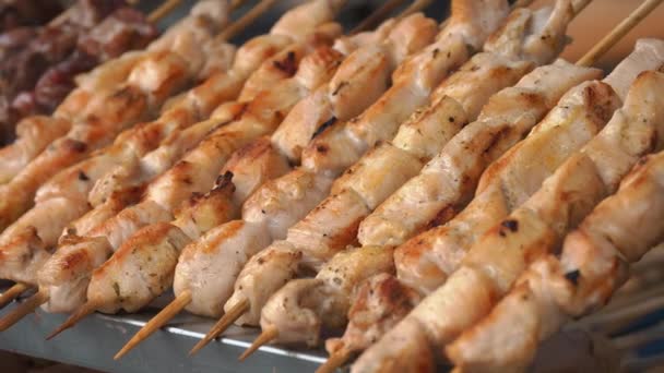 Carne Frita Espeto Shashlik Shish Kebab Close Cozido Grelha Suculenta — Vídeo de Stock