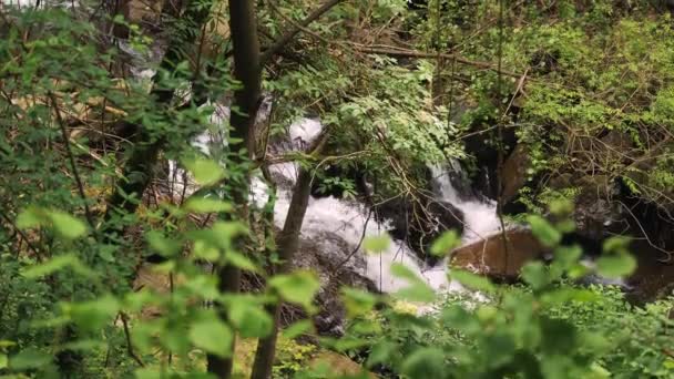 Ein Gebirgsfluss Wald Wasserströme Laufen Über Felsen Wasserfall Den Alpen — Stockvideo