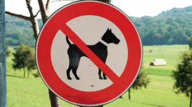 Köpek gezdirmeye izin yok. Yürüyen bir patika. Yaz zamanı. Yüksek kalite 4k görüntü