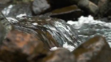 Deresi, deresi ya da küçük ve hızlı bir dağ nehri ve kristal berrak akan su. Yakın plan. Kaynak, kaynak suyu. Yaz günü. Su taşların, dağların ve ormanların üzerinden akar.