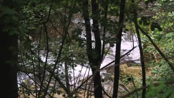 Górski Potok Widok Przez Liście Gałęzie Drzew Lesie Górach Woda — Wideo stockowe