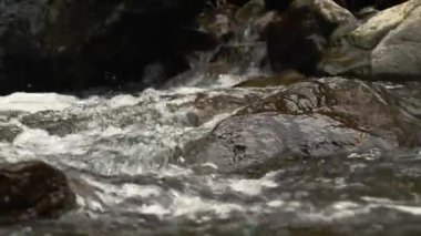 Deresi, deresi ya da küçük ve hızlı bir dağ nehri ve kristal berrak akan su. Yakın plan. Kaynak, kaynak suyu. Yaz günü. Su taşların, dağların ve ormanların üzerinden akar.