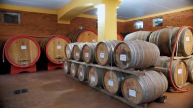 Tahta fıçılar. Şaraphane. Şarap, konyak, viski ya da konyak deposu. Şarap deposunda, mahzende ya da depoda sıra sıra şarap dolu ahşap fıçılar. Geleneksel küçük aile şaraphanesi. Yeraltında alkol.