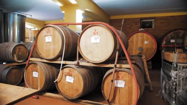 Drewniane Beczki Winiarnia Wino Koniak Whiskey Lub Magazyn Brandy Drewniane — Wideo stockowe