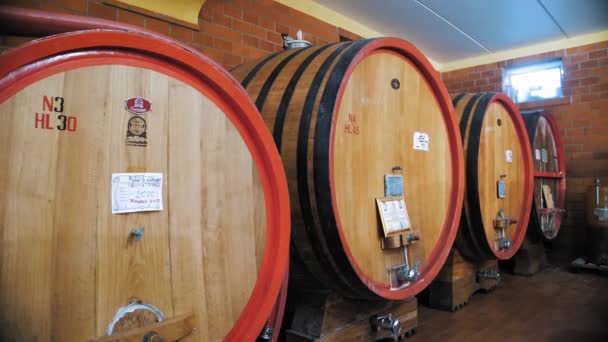 大きな木製バレル ワイナリー ワイン コニャック ウイスキーまたはブランドの倉庫 ワイン倉庫 セラーまたは貯蔵のワインが付いている木製樽 伝統的な小さな家族のワイナリー 樽のアルコール — ストック動画