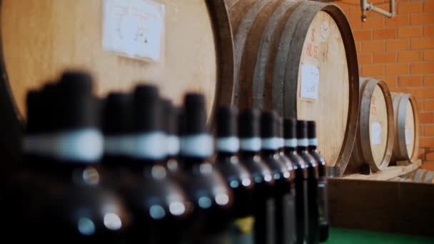木製バレル ワイナリー ワイン コニャック ウイスキーまたはブランドの倉庫 ワインが付いている木製の樽はワイン倉庫 セラーまたは貯蔵で列に積まれました 伝統的な小さな家族のワイナリー ボトルにアルコール — ストック動画