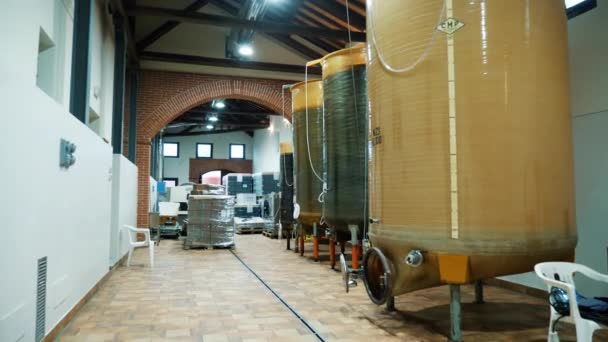 ワイナリー ワイン ヴォルト ワイン発酵のための大型タンク サイロ ワイン造りの工場でワインの発酵のための大きい樽 ワイナリー ワイン生産設備 — ストック動画