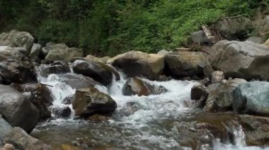 Vahşi dağ nehri. Kristal berrak suyu olan küçük bir dağ nehri. Taştan akıntılar ve taşlardan akan hızlı su ormandaki ıssız alanlarda akıyor. Nehir taşları, kayalık zemin
