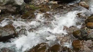 Deresi, deresi ya da küçük ve hızlı bir dağ nehri ve kristal berrak akan su. Yakın plan. Kaynak, kaynak suyu. Yaz günü. Su taşların, dağların ve ormanların üzerinden akar.