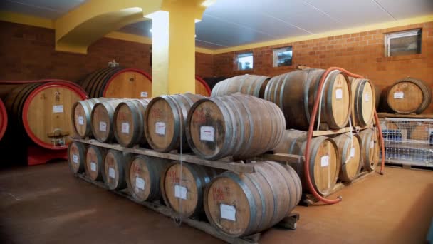 Barriles Madera Bodega Vino Coñac Whisky Brandy Barricas Madera Con — Vídeo de stock