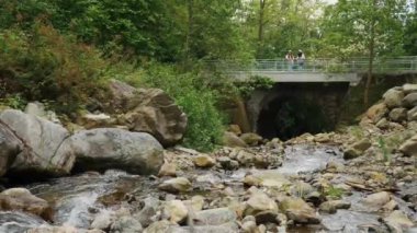 Vahşi dağ nehri. Hızlı dağ nehri üzerinde kristal berrak suyla taş köprü. Taştan akıntılar ve taşlardan akan hızlı su ormandaki ıssız alanlarda akıyor. Nehir kayaları