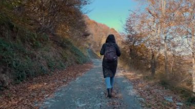 Dağlarda sonbahar. Bir kız, sırt çantalı bir yürüyüşçü, İtalya 'nın Alplerdeki sonbahar ormanlarında yürüyor. Aktif yaşam tarzı. Ağacın kırmızı tonlarını sergilediği sonbahar dağ manzarası