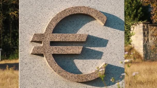 Signo Moneda Mármol Plato Mármol Símbolo Euro Imágenes Alta Calidad — Vídeos de Stock