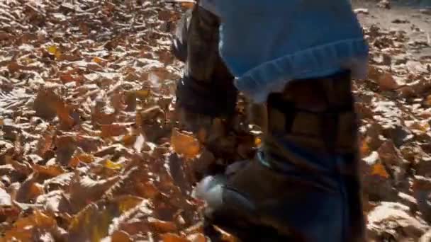 Eine Frau Stiefeln Geht Durch Den Herbstlichen Park Den Wald — Stockvideo