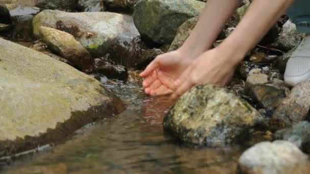 Portrét Dívky Ruce Sbírající Vodu Řeky Horách Alp Dívka Pije — Stock video