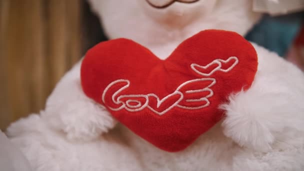 バレンタインデーのテディベア クローズアップ バレンタインデーの贈り物 感情と愛の表現として お祝いの装飾 バレンタインデーの装飾 ラブコンセプト — ストック動画