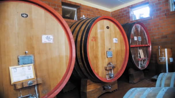 Large Wooden Barrels Winery Wine Cognac Whiskey Brandy Warehouse Wooden — Stock Video