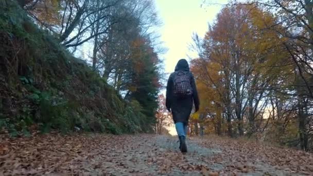 Dağlarda Sonbahar Bir Kız Sırt Çantalı Bir Yürüyüşçü Talya Nın — Stok video