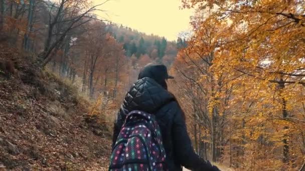 Automne Dans Les Montagnes Une Fille Une Randonneuse Avec Sac — Video